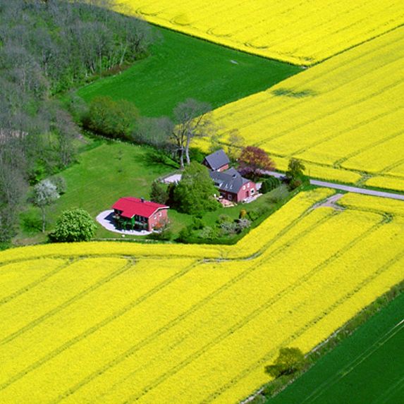 Sillekjer 14
