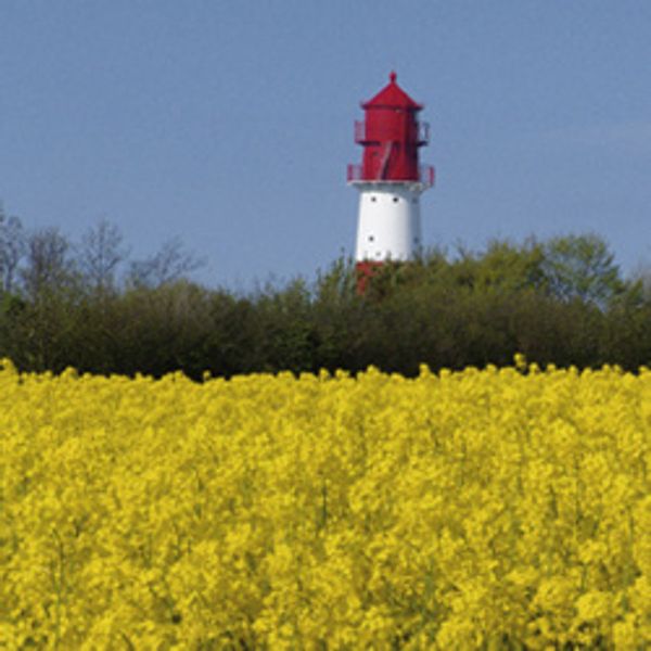 Sillekjer 3