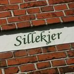 Sillekjer