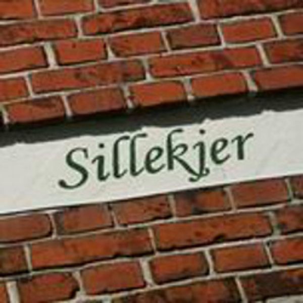 Sillekjer 6